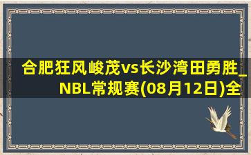 合肥狂风峻茂vs长沙湾田勇胜_NBL常规赛(08月12日)全场录像