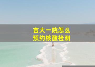 吉大一院怎么预约核酸检测