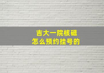 吉大一院核磁怎么预约挂号的