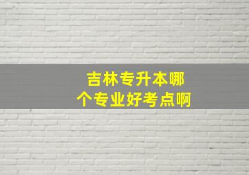 吉林专升本哪个专业好考点啊