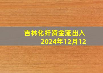 吉林化纤资金流出入2024年12月12