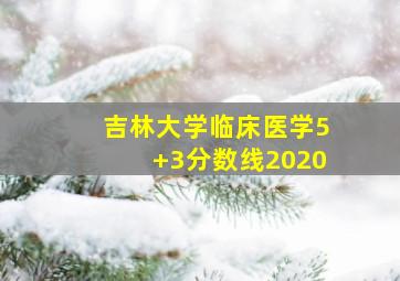 吉林大学临床医学5+3分数线2020