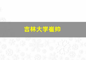 吉林大学崔帅