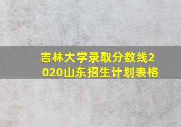 吉林大学录取分数线2020山东招生计划表格