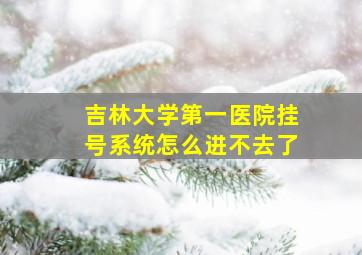 吉林大学第一医院挂号系统怎么进不去了