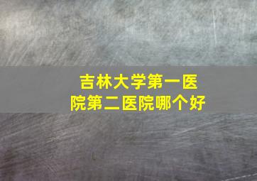 吉林大学第一医院第二医院哪个好