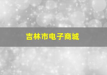 吉林市电子商城