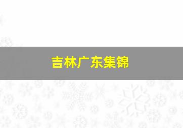 吉林广东集锦