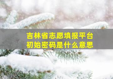 吉林省志愿填报平台初始密码是什么意思