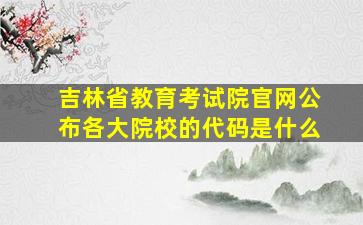 吉林省教育考试院官网公布各大院校的代码是什么