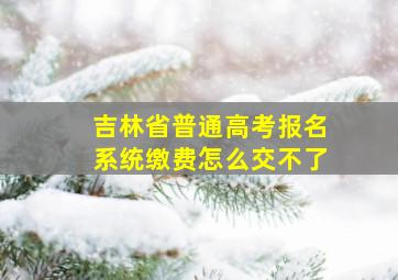 吉林省普通高考报名系统缴费怎么交不了