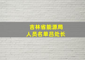 吉林省能源局人员名单吕处长