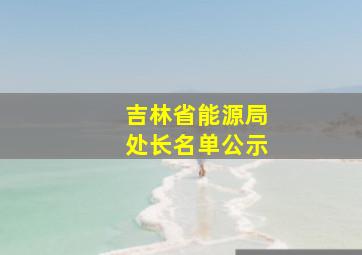 吉林省能源局处长名单公示