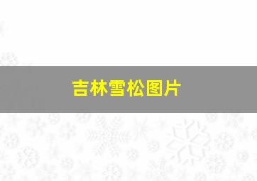 吉林雪松图片