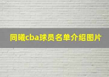 同曦cba球员名单介绍图片