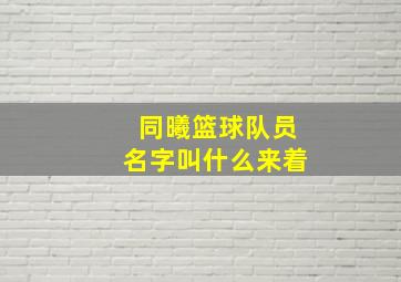 同曦篮球队员名字叫什么来着