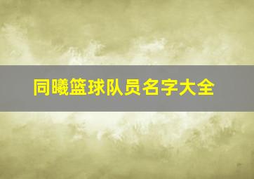 同曦篮球队员名字大全