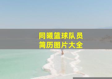 同曦篮球队员简历图片大全