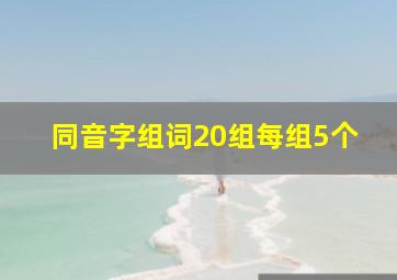 同音字组词20组每组5个