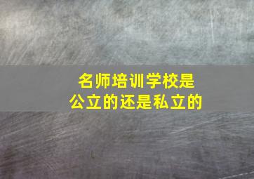 名师培训学校是公立的还是私立的