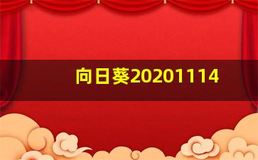 向日葵20201114