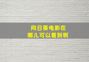 向日葵电影在哪儿可以看到啊