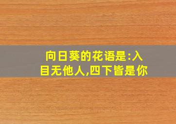 向日葵的花语是:入目无他人,四下皆是你