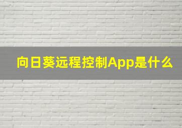 向日葵远程控制App是什么