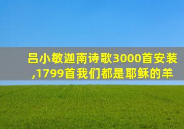 吕小敏迦南诗歌3000首安装,1799首我们都是耶稣的羊