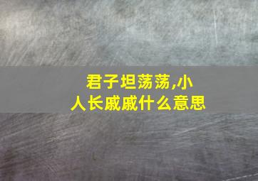 君子坦荡荡,小人长戚戚什么意思