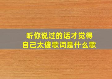 听你说过的话才觉得自己太傻歌词是什么歌