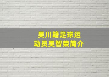 吴川籍足球运动员吴智荣简介