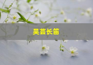 吴芸长笛