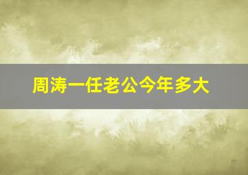 周涛一任老公今年多大