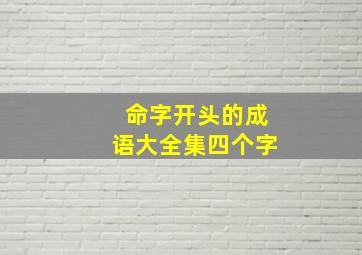 命字开头的成语大全集四个字