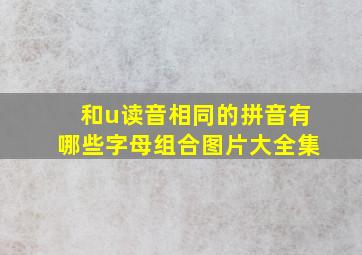 和u读音相同的拼音有哪些字母组合图片大全集