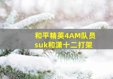 和平精英4AM队员suk和潇十二打架