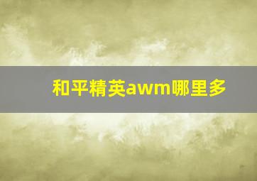 和平精英awm哪里多