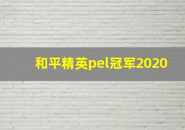 和平精英pel冠军2020