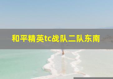 和平精英tc战队二队东南