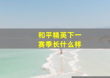 和平精英下一赛季长什么样