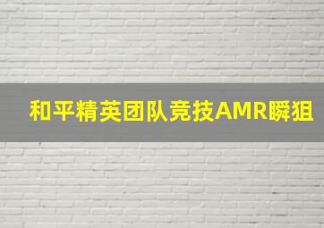 和平精英团队竞技AMR瞬狙