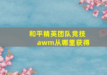 和平精英团队竞技awm从哪里获得