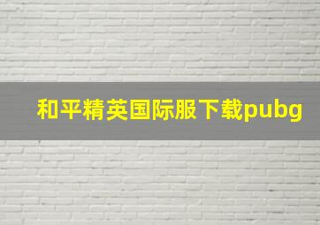 和平精英国际服下载pubg