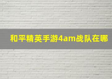 和平精英手游4am战队在哪