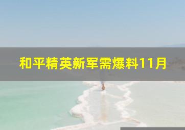 和平精英新军需爆料11月