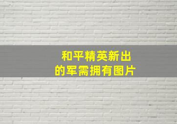 和平精英新出的军需拥有图片