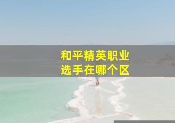 和平精英职业选手在哪个区