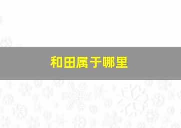 和田属于哪里