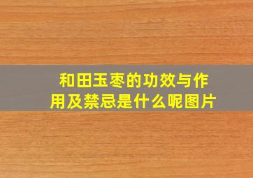 和田玉枣的功效与作用及禁忌是什么呢图片